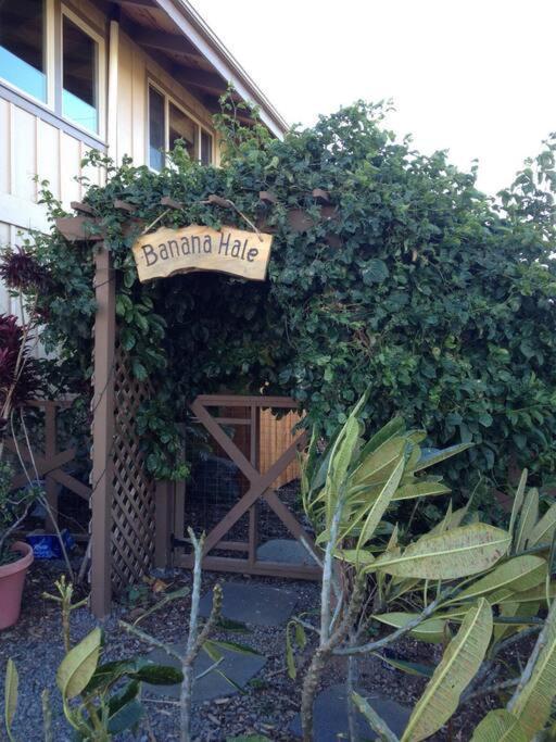 Garden Oasis At Banana Hale Studio Apartment Kawailiula Exterior photo